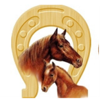 custom-horse-corrals-hws